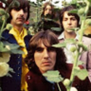 Meet your Posher, Mariah